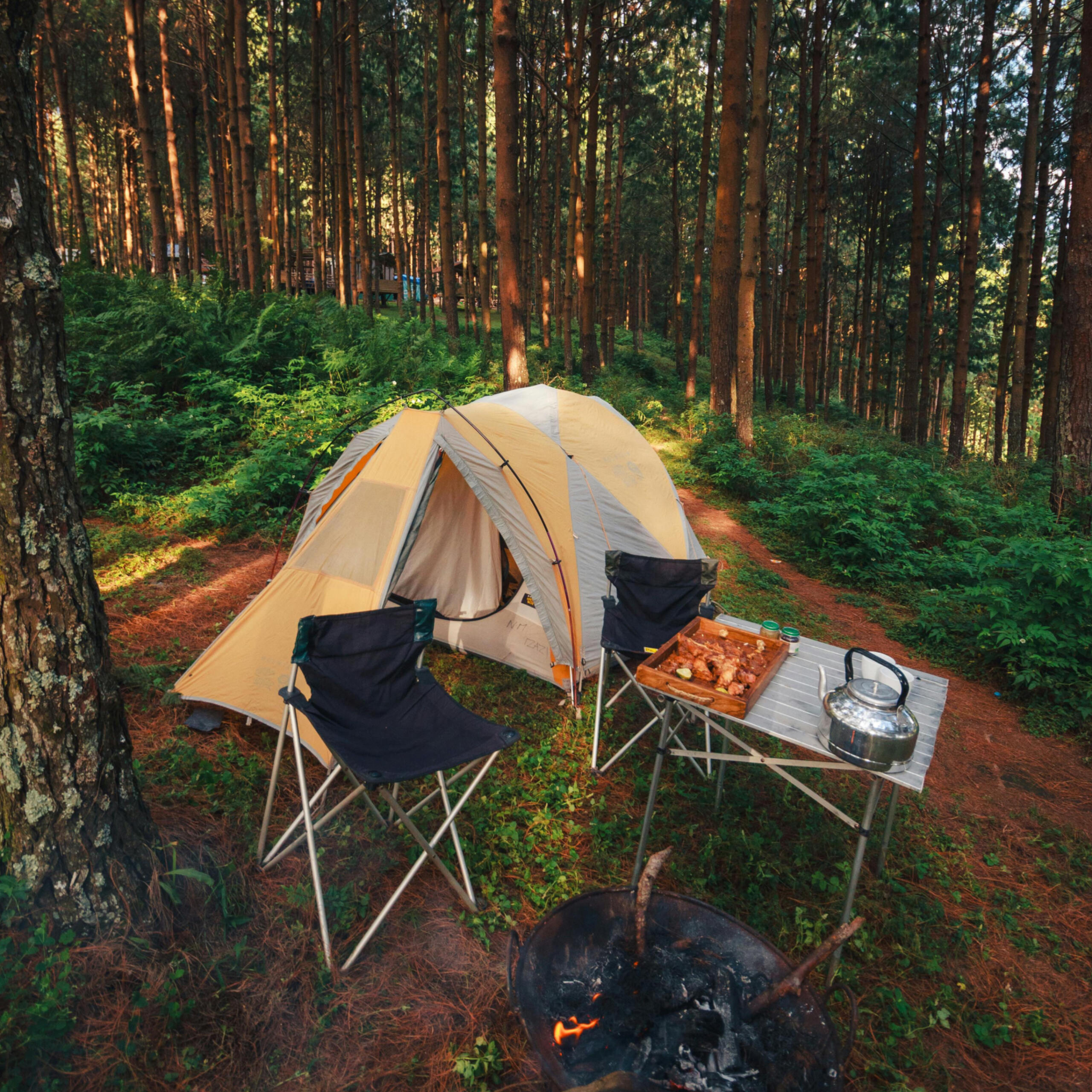 Regulamin §1. Postanowienia ogólne 1. Regulamin określa zasady korzystania z usług wypożyczalni desek SUP SUP You?!. 2. Wypożyczając sprzęt, klient akceptuje warunki niniejszego regulaminu. 3. Wypożyczalnia nie posiada